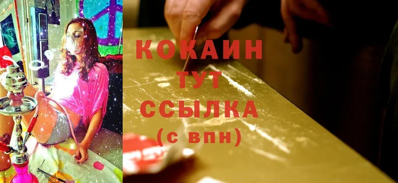 Cocaine FishScale  цена наркотик  Гремячинск 